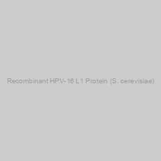Image of Recombinant HPV-16 L1 Protein (S. cerevisiae)